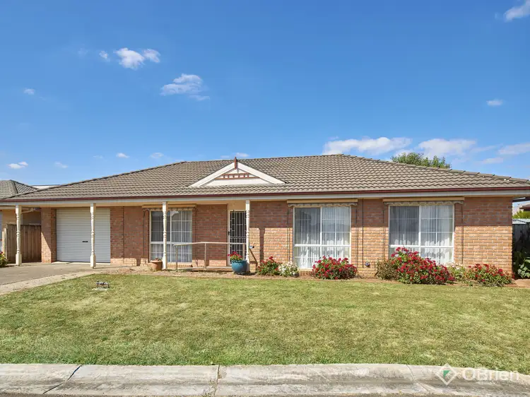 Main view of Homely house listing, 13 Rees Close, Drouin VIC 3818