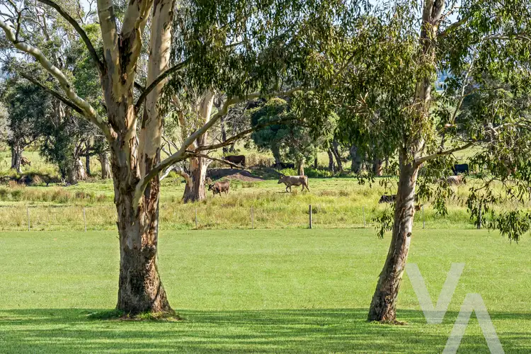 Fourth view of Homely rural property listing, 12 Sanctuary Place, Wallalong NSW 2320