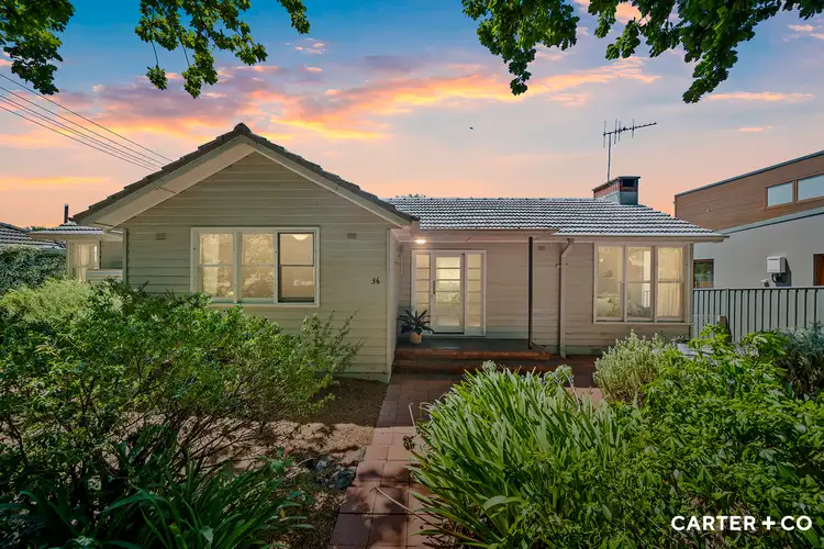 36 Quandong Street, O'connor ACT 2602
