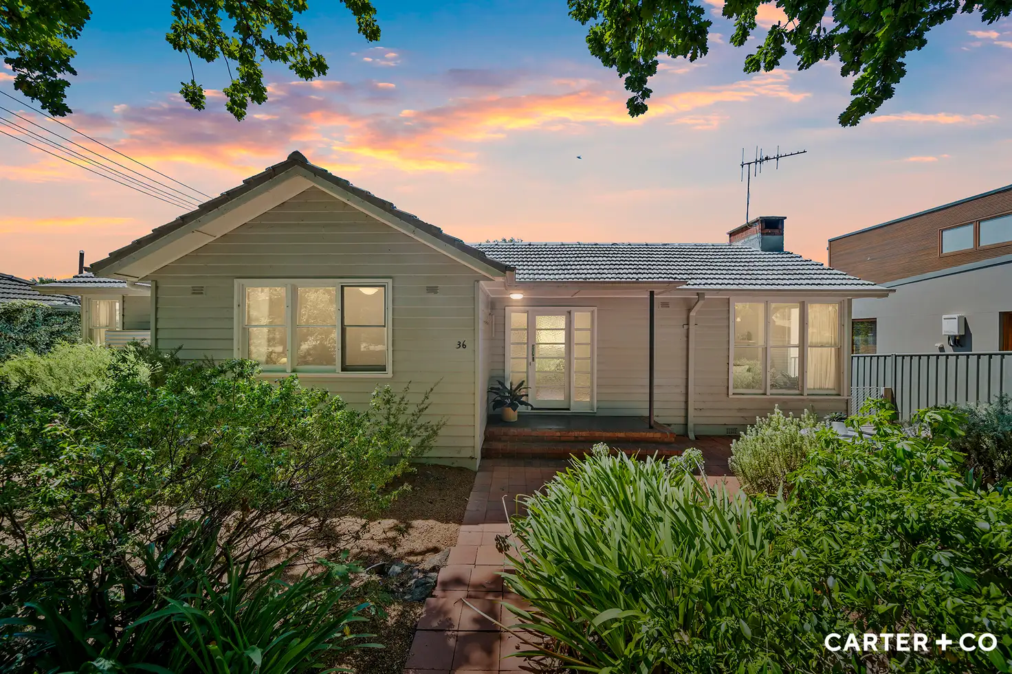 Main view of Homely house listing, 36 Quandong Street, O'connor ACT 2602