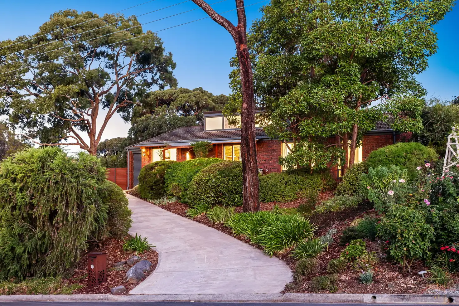 Main view of Homely house listing, 5 Bluebell Court, Flagstaff Hill SA 5159