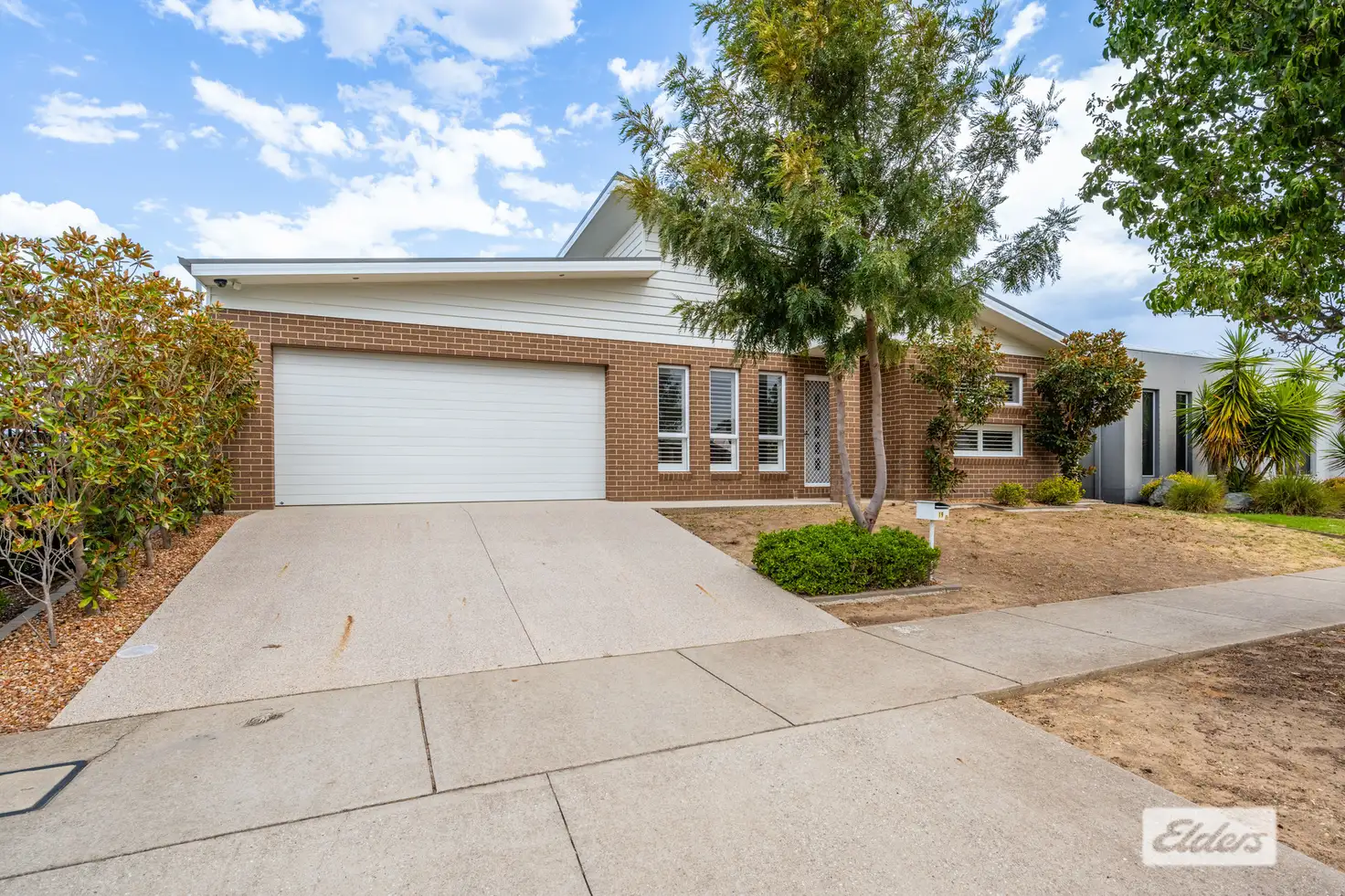 Main view of Homely house listing, 19 Middleton Crescent, Wodonga VIC 3690