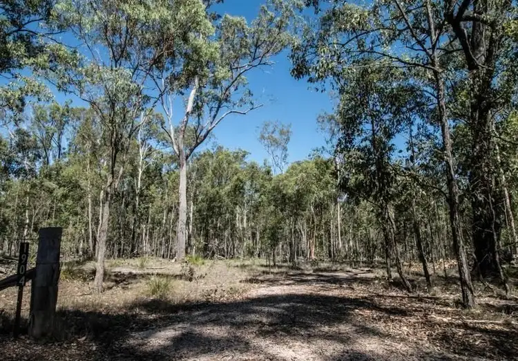 Main view of Homely rural property listing, 1904 Lowmead Road, Colosseum QLD 4677