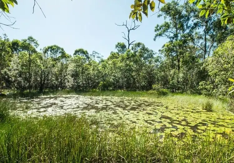Second view of Homely rural property listing, 1904 Lowmead Road, Colosseum QLD 4677