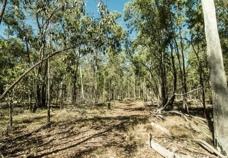 Third view of Homely rural property listing, 1904 Lowmead Road, Colosseum QLD 4677