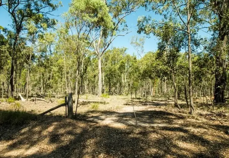 Fourth view of Homely rural property listing, 1904 Lowmead Road, Colosseum QLD 4677