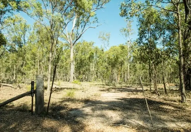 Fifth view of Homely rural property listing, 1904 Lowmead Road, Colosseum QLD 4677