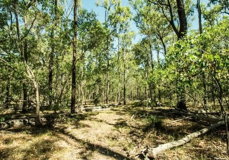 Sixth view of Homely rural property listing, 1904 Lowmead Road, Colosseum QLD 4677