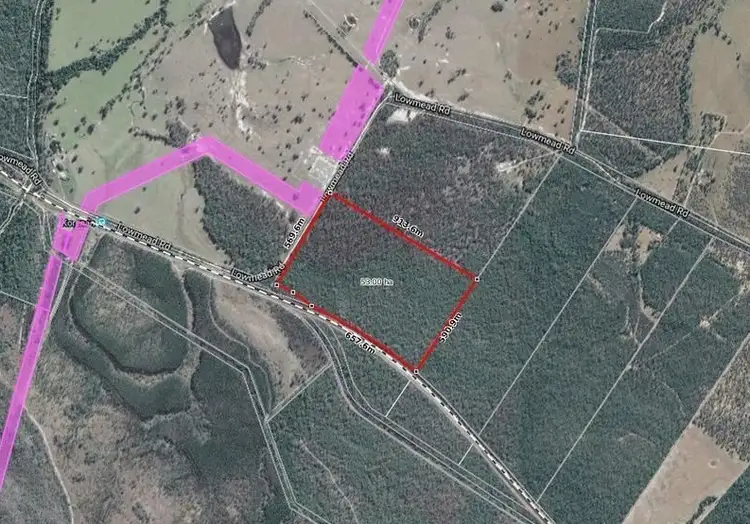 Seventh view of Homely rural property listing, 1904 Lowmead Road, Colosseum QLD 4677