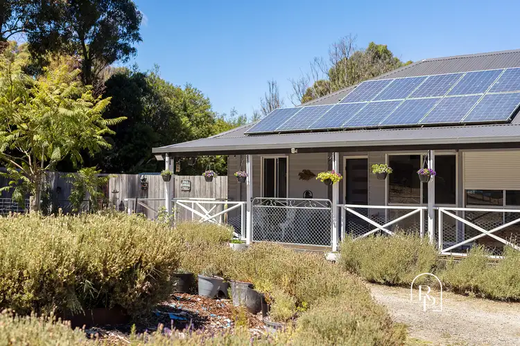 Third view of Homely house listing, 2595 Frankston Flinders Road, Bittern VIC 3918