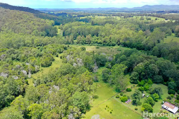133 Letterbox Road, Bellangry NSW 2446