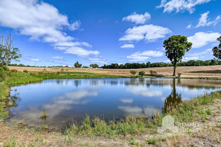 Fourth view of Homely rural property listing, Lot 3069 Newmans Road, Wellington Forest WA 6236