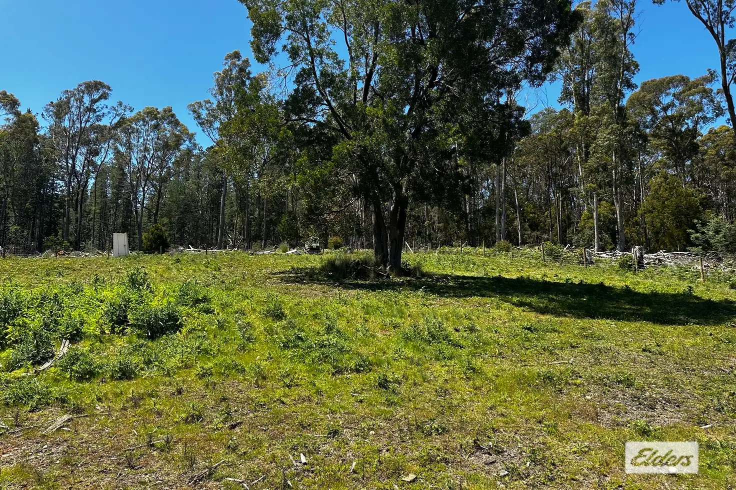 Main view of Homely land listing, Dulverton Road, Railton TAS 7305