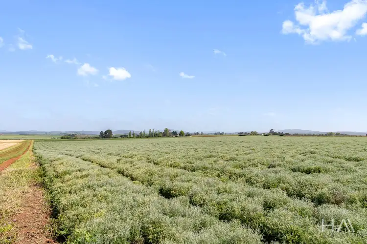 Fifth view of Homely rural property listing, 224 Selbourne Road, Hagley TAS 7292