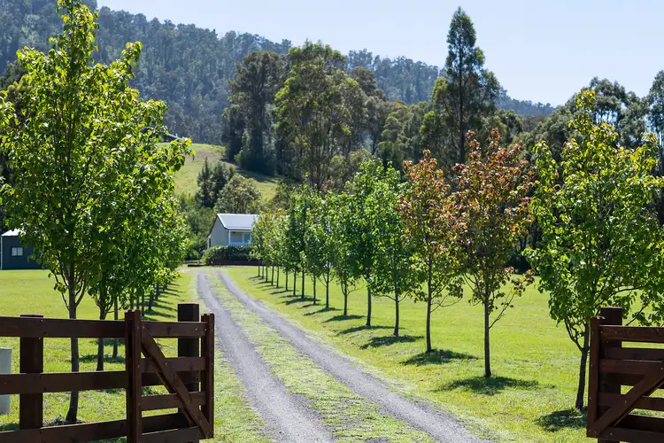Main view of Homely house listing, 404 Duffys Lane, Kangaroo Valley NSW 2577