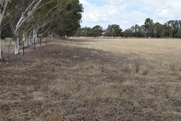 Fourth view of Homely rural property listing, 1012 Urana Road, Jindera NSW 2642