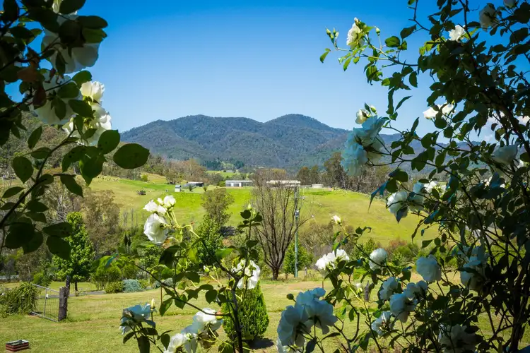 Fifth view of Homely house listing, 2903 Mount Darragh Road, Wyndham NSW 2550