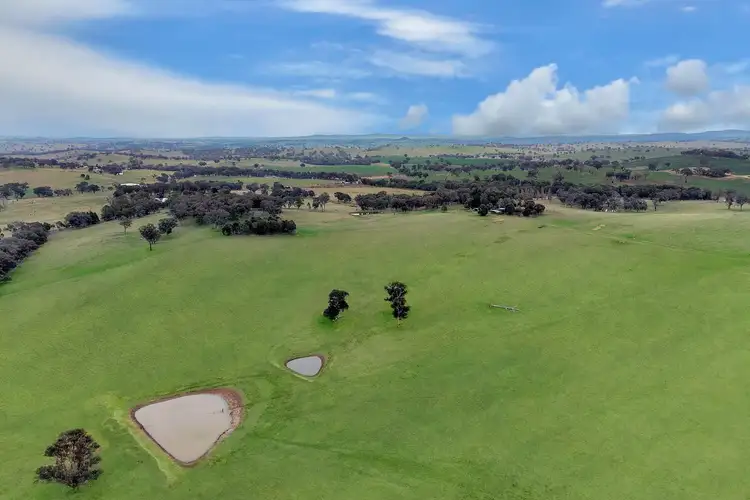 Fourth view of Homely rural property listing, 21 Meadows Lane, Lyndhurst NSW 2797