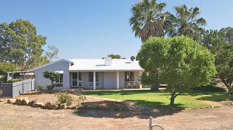 169 Manmanning Road, Wongan Hills WA 6603