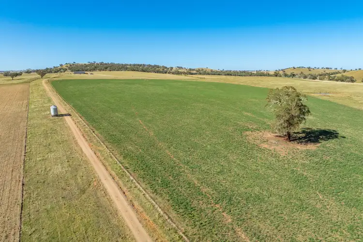 Third view of Homely rural property listing, 3899 Belubula Way, Canowindra NSW 2804