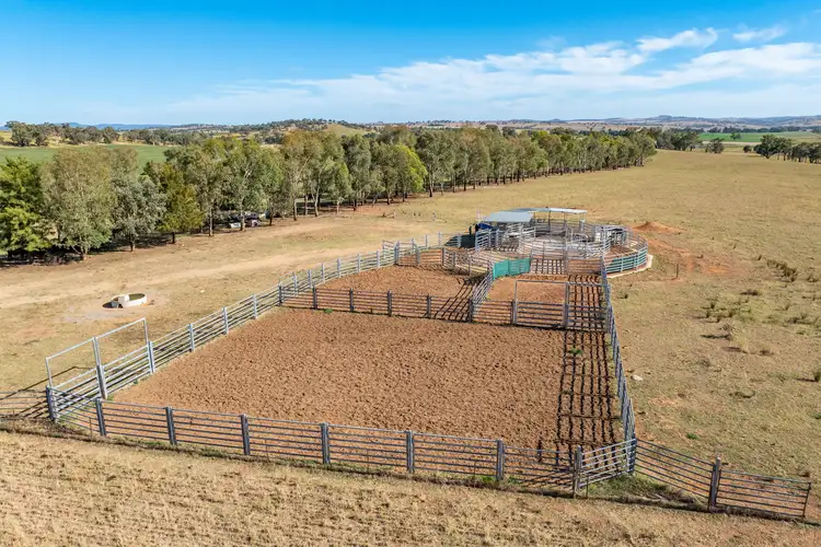 Sixth view of Homely rural property listing, 3899 Belubula Way, Canowindra NSW 2804