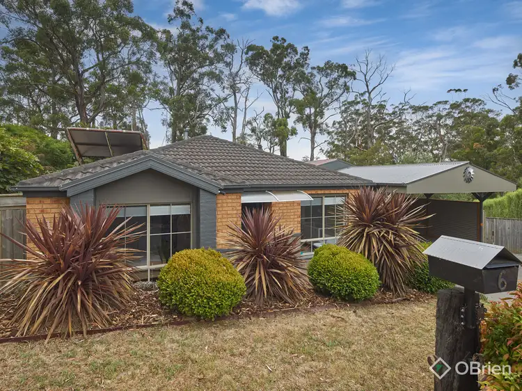 6 Andrew Court, Drouin VIC 3818