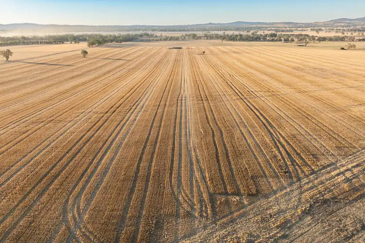 LOT 4 Nioka Road, Jindera NSW 2642