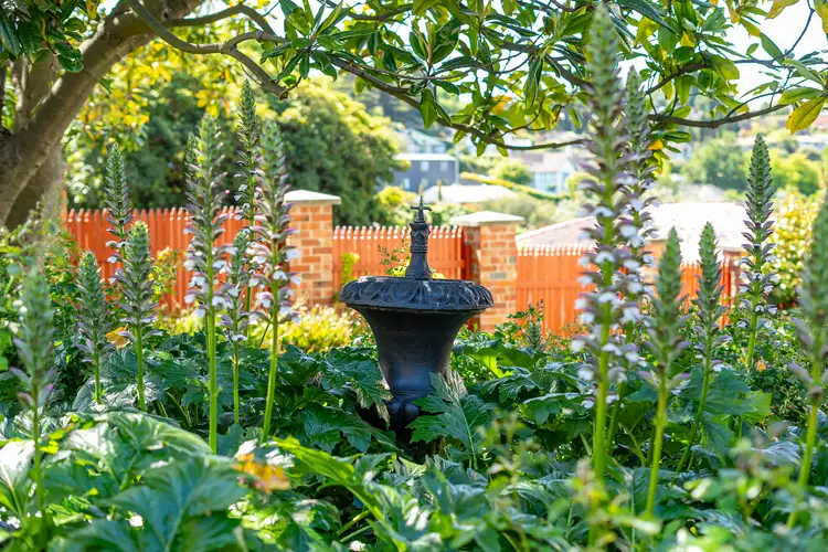 Fourth view of Homely house listing, 5 Kendrick Court, Dynnyrne TAS 7005