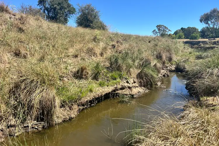Third view of Homely rural property listing, 851 Dry Creek Road, Lewis Ponds NSW 2800
