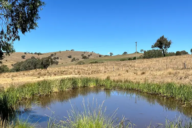 Sixth view of Homely rural property listing, 851 Dry Creek Road, Lewis Ponds NSW 2800