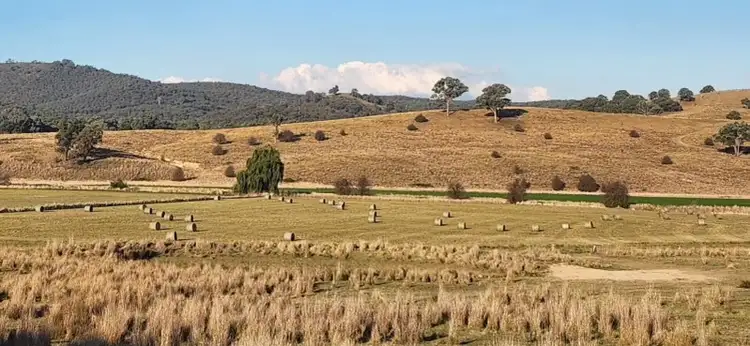 Seventh view of Homely rural property listing, 851 Dry Creek Road, Lewis Ponds NSW 2800