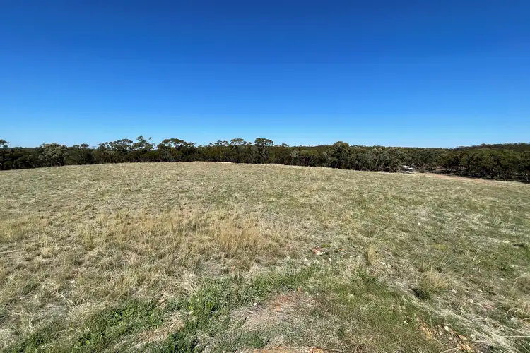 Main view of Homely rural property listing, 65 Eucy Road, Korong Vale VIC 3520