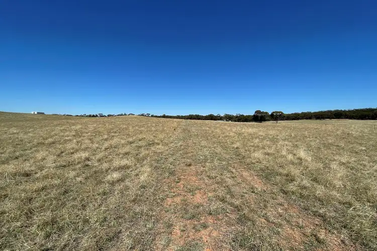 Sixth view of Homely rural property listing, 65 Eucy Road, Korong Vale VIC 3520