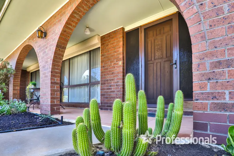 295 Belar Avenue, Irymple VIC 3498