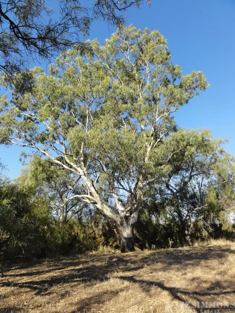 Fifth view of Homely land listing, LOT 65 Louisa Street, Dalby QLD 4405