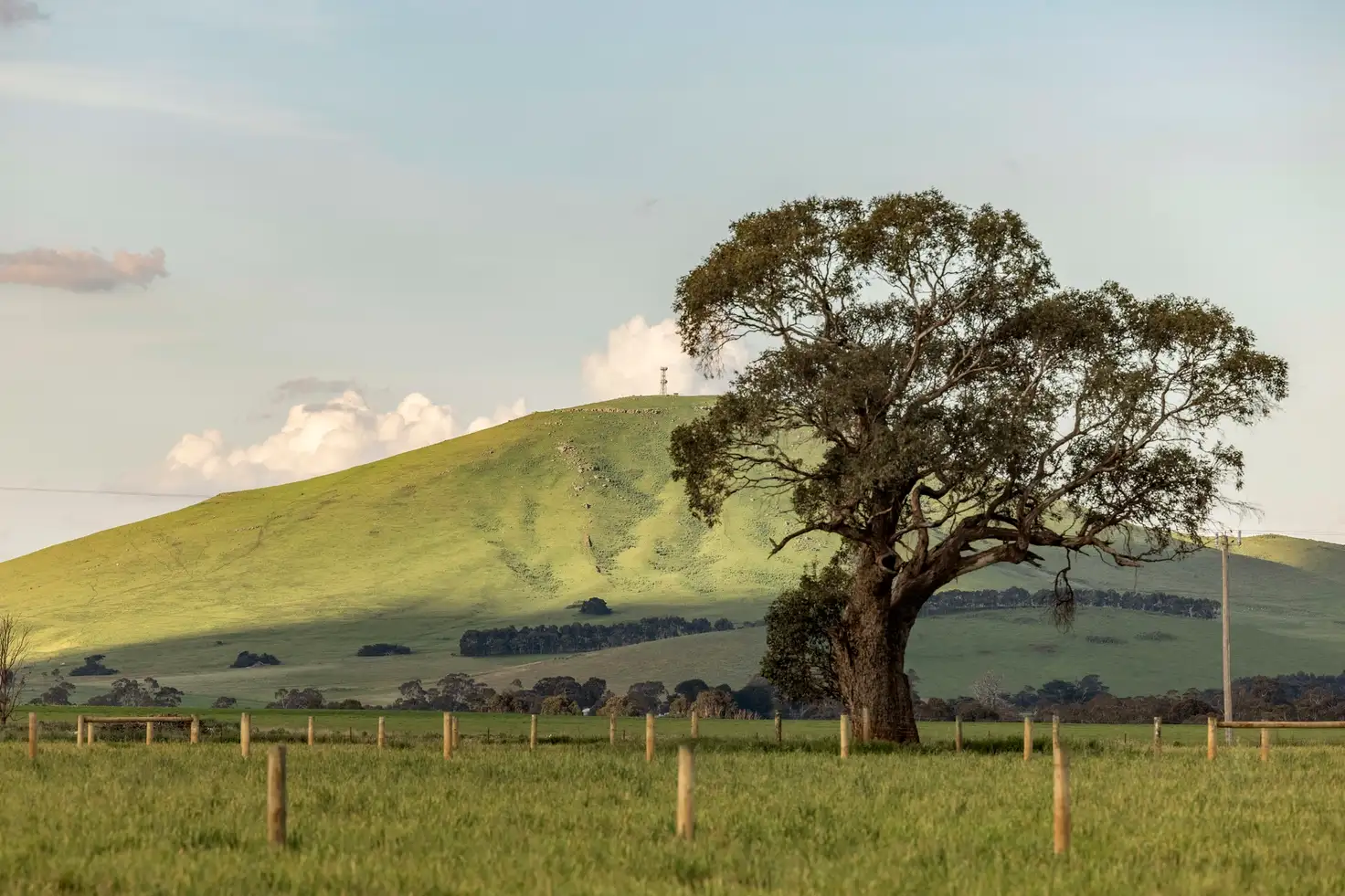 Main view of Homely land listing, LOT 17 Toose Court, Smeaton VIC 3364