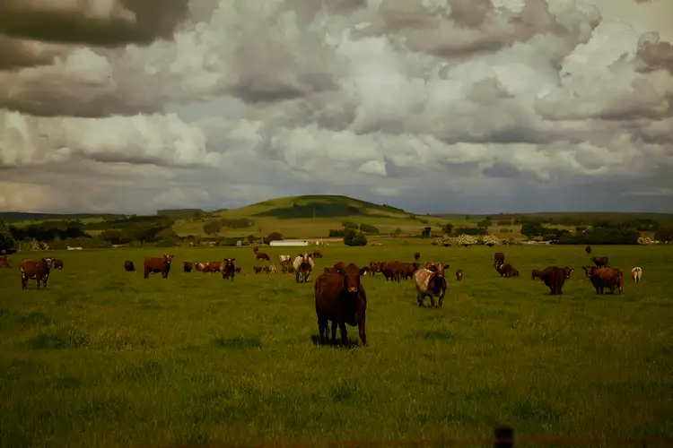 Third view of Homely land listing, LOT 17 Toose Court, Smeaton VIC 3364