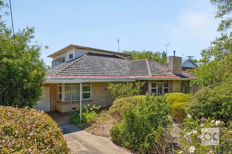 Main view of Homely house listing, 111 Springbank Road, Clapham SA 5062