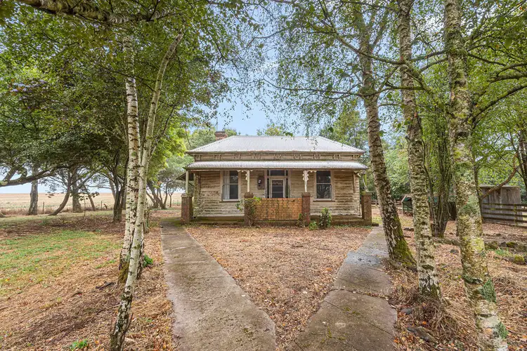 521 Boundary Church Road
