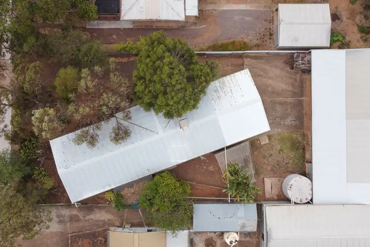 18 East Terrace, Cleve SA 5640