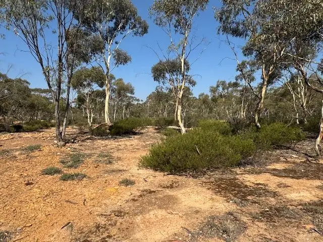 Main view of Homely rural property listing, 2-20 Godfrey Street, Wedderburn VIC 3518