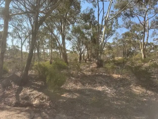 Second view of Homely rural property listing, 2-20 Godfrey Street, Wedderburn VIC 3518