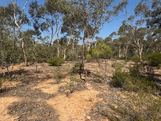 Fourth view of Homely rural property listing, 2-20 Godfrey Street, Wedderburn VIC 3518