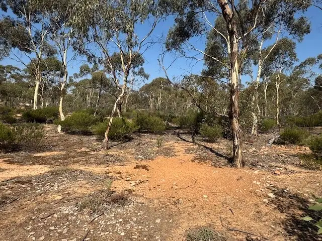 Fifth view of Homely rural property listing, 2-20 Godfrey Street, Wedderburn VIC 3518
