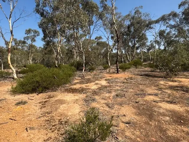 Sixth view of Homely rural property listing, 2-20 Godfrey Street, Wedderburn VIC 3518
