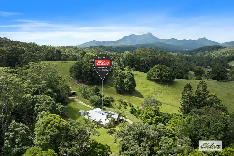354 Kunghur Creek Road, Kunghur Creek NSW 2484
