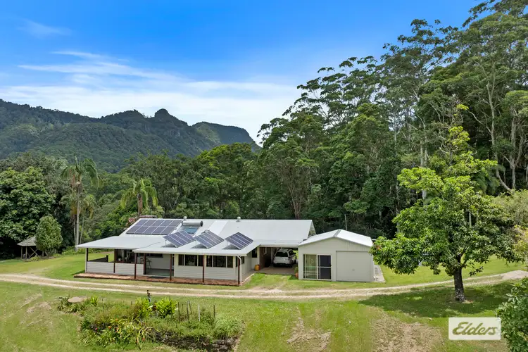 354 Kunghur Creek Road, Kunghur Creek NSW 2484