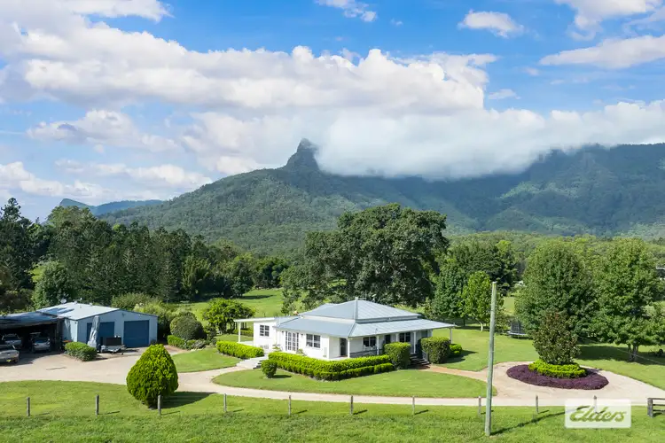 Fourth view of Homely rural property listing, 215 South Pumpenbil Road, Pumpenbil NSW 2484