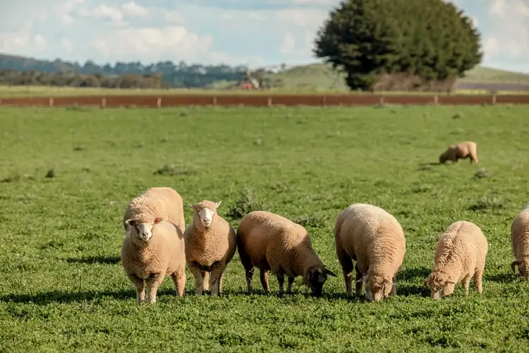 Third view of Homely land listing, LOT 18 Toose Court, Smeaton VIC 3364