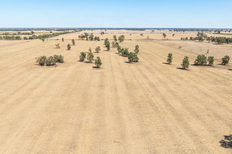 153 Balldale-Coreen Road, Corowa NSW 2646